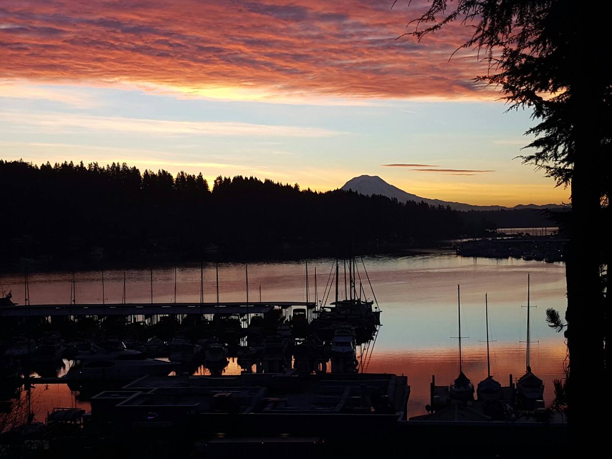 fairways_tacoma's tweet photo. Spend next Saturday at Gig Harbor's Saturday Art Walk where you can stroll along the water and visit various local galleries. You'll get to see all different artistic styles, mediums and enjoy some refreshments! #Tacoma https://t.co/m8MxgIsoRq https://t.co/giuLafn9lG
