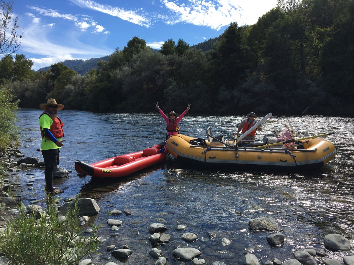 Shasta-Trinity NF tweet media