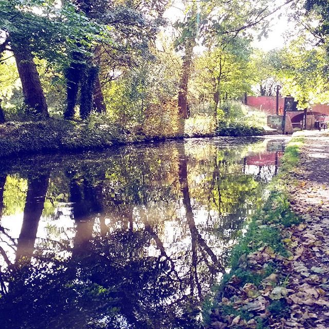 ASimpleMelody's tweet photo. End of September, already? Autumn days by the canal  #walkingthedog #mybackdoor #naturewatching #thisisbirmingham #thisisbham #brummie_gems #autumndays #bythecanal https://t.co/dH2qr7Y6HB https://t.co/aUf7ra0YK8