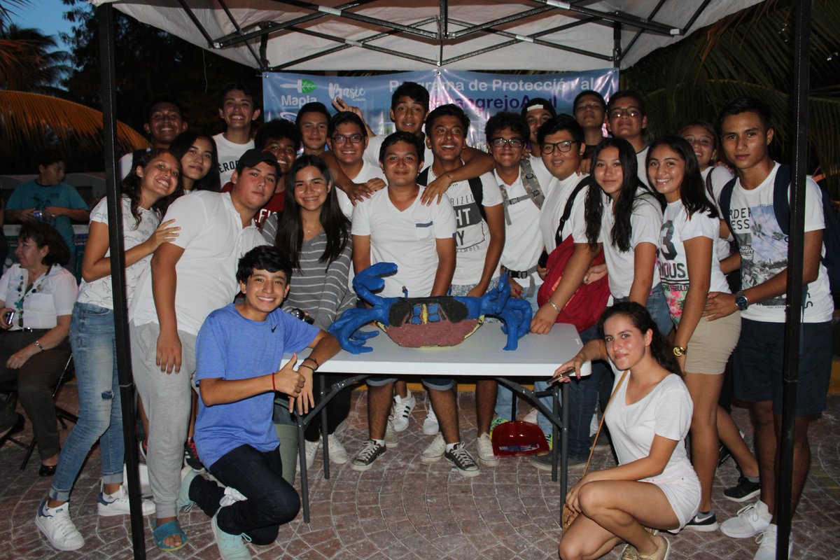 Ecología Cancún tweet media