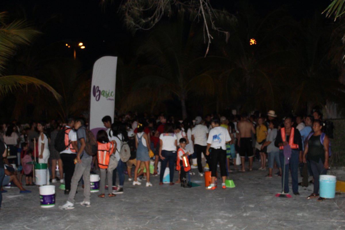 Ecología Cancún tweet media