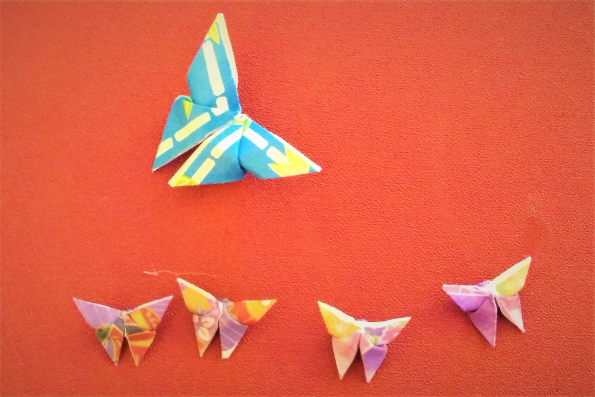 Noriko Grace Designs tweet media