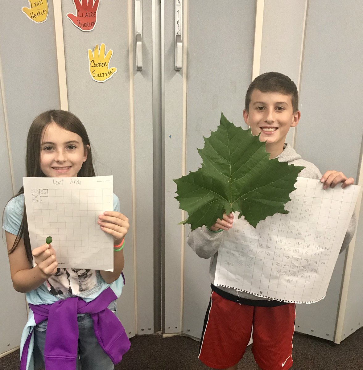 Kstrobelt's tweet photo. Finding “leaf area.” Then stand in order from greatest to smallest area.  #EWpride #@Kstrobelt https://t.co/XYHb7BMs3O