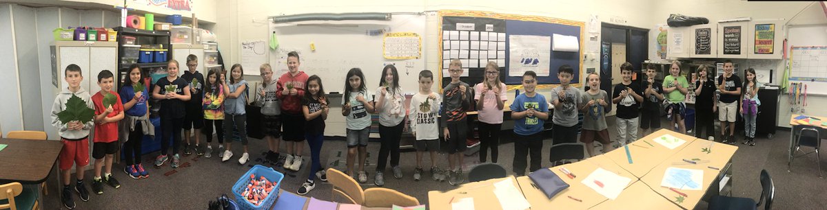 Kstrobelt's tweet photo. Finding “leaf area.” Then stand in order from greatest to smallest area.  #EWpride #@Kstrobelt https://t.co/XYHb7BMs3O