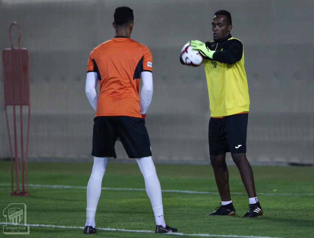 المركز الإعلامي/تقرير 📝📸النمور اليوم الجمعة من الامارات 