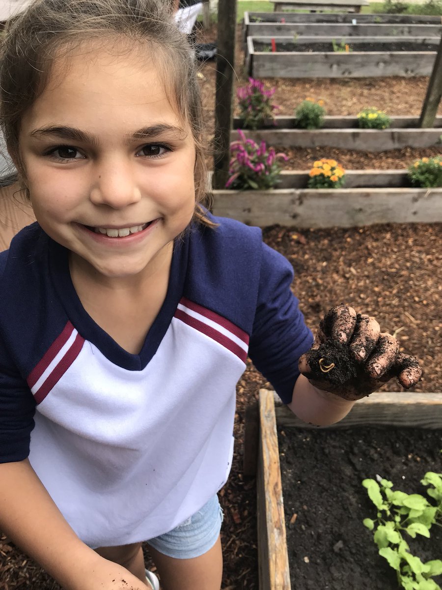 DrHydrogenHC's tweet photo. Time to experience the geosphere!! Who says kids don’t get their hands dirty anymore??  #LS2-1 #ESS2-1 @OfficialNGSS @HESVerticalFarm @hvrsd_STEM https://t.co/z41BDJlmbG