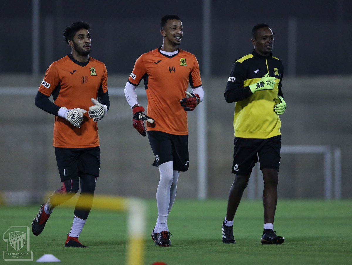 المركز الإعلامي/تقرير 📝📸النمور اليوم الجمعة من الامارات 