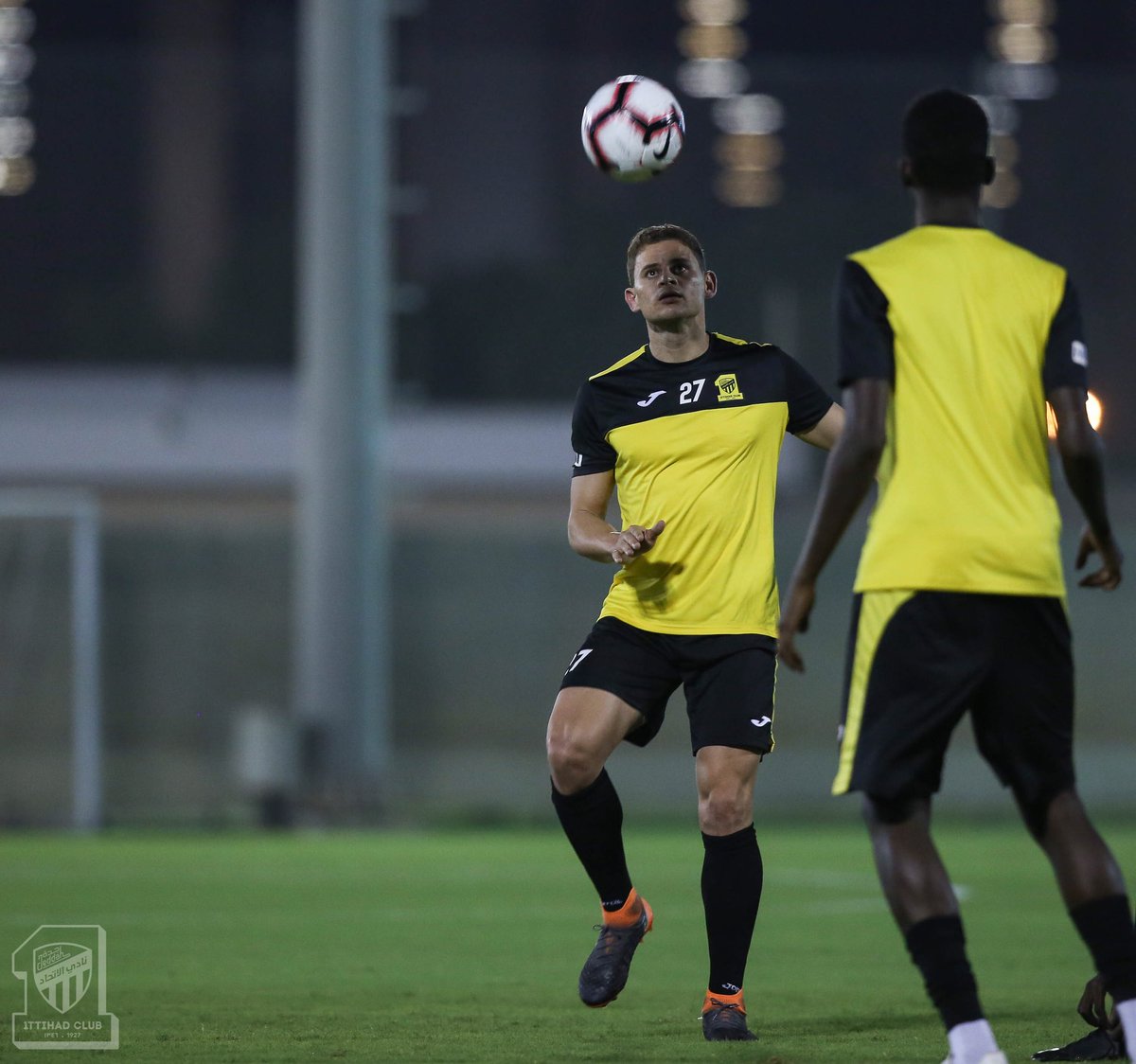 المركز الإعلامي/تقرير 📝📸النمور اليوم الجمعة من الامارات 