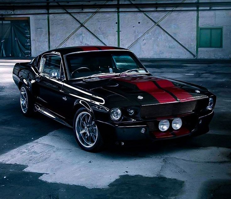 MustangGirlS550's tweet photo. ⚫️🔴 Shelby gt500 mustang               #frontendfriday 🍂🍃🍁 https://t.co/RrGwgt1kbC