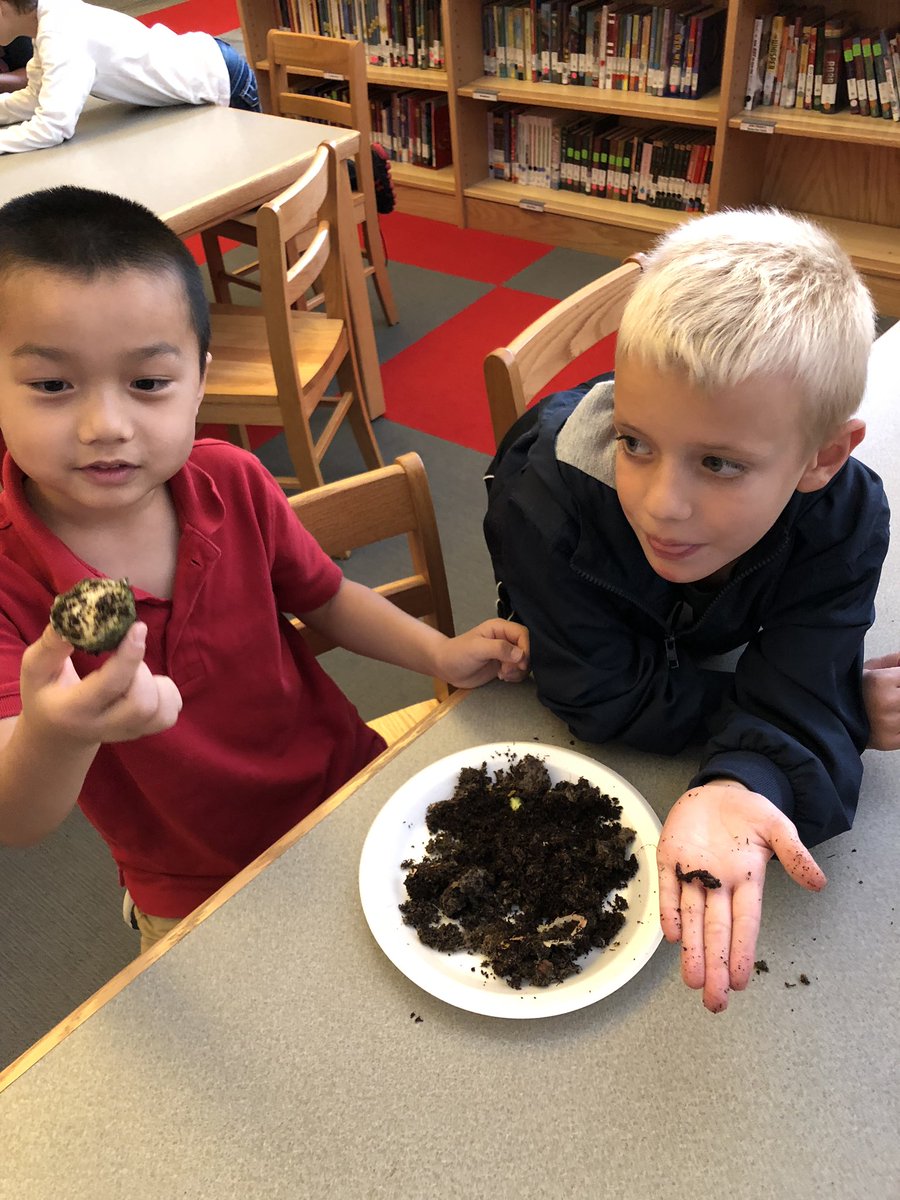 christa0511's tweet photo. Hands on worm fun after pairing worm fiction and nonfiction text! @Boone_County @UnleashTheWilde #boone2020 https://t.co/GFiWvQXAI3