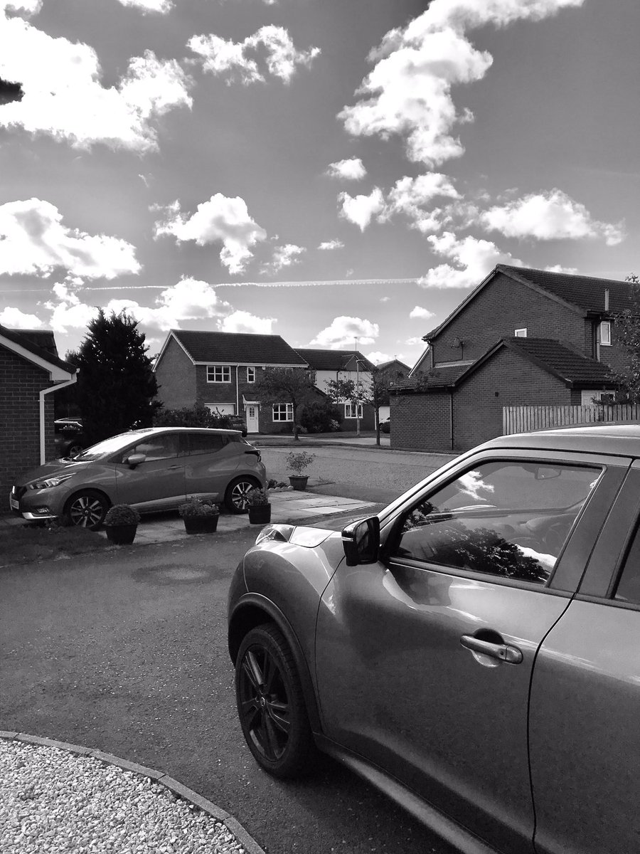 Warren Home tweet media