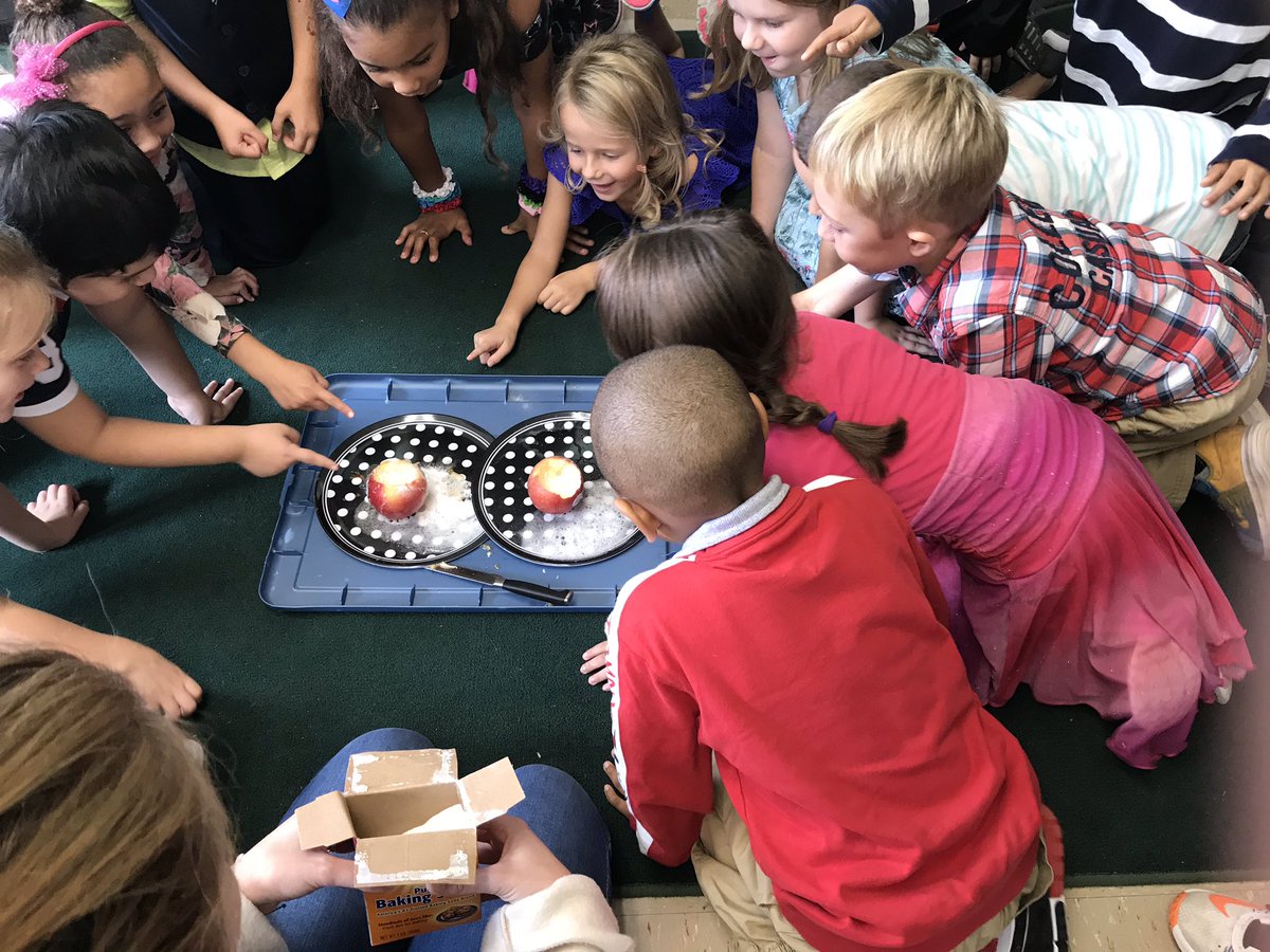 MrsVanderWoude's tweet photo. When 4 students ask if you are going to teach them how to build a volcano in 1st grade, you deliver! #applevolcano 🍎🌋 https://t.co/RTVSgSVwlz
