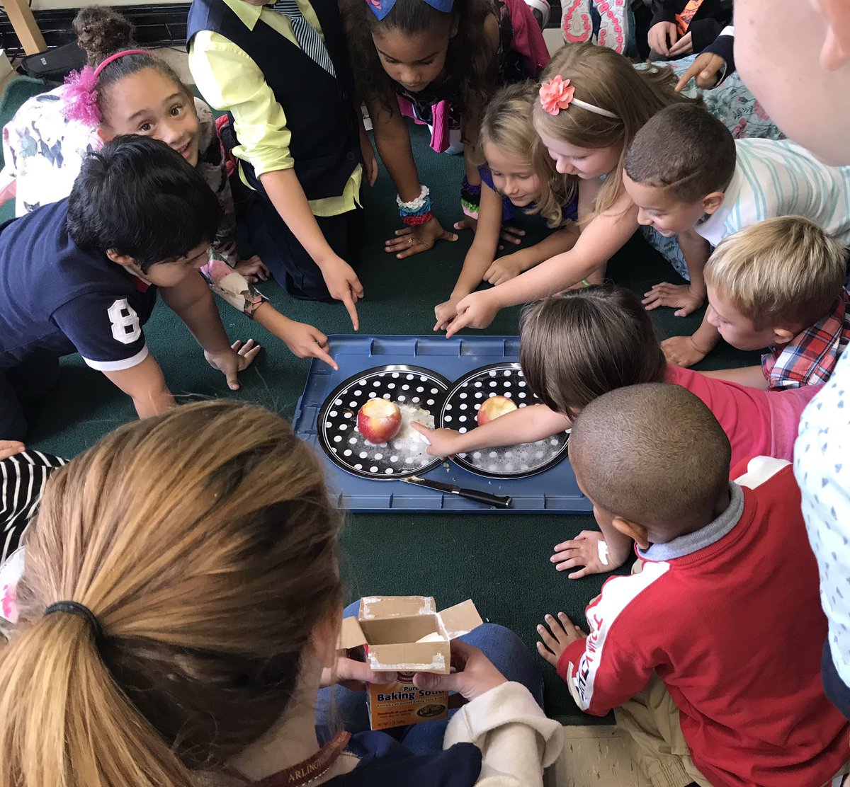 MrsVanderWoude's tweet photo. When 4 students ask if you are going to teach them how to build a volcano in 1st grade, you deliver! #applevolcano 🍎🌋 https://t.co/RTVSgSVwlz
