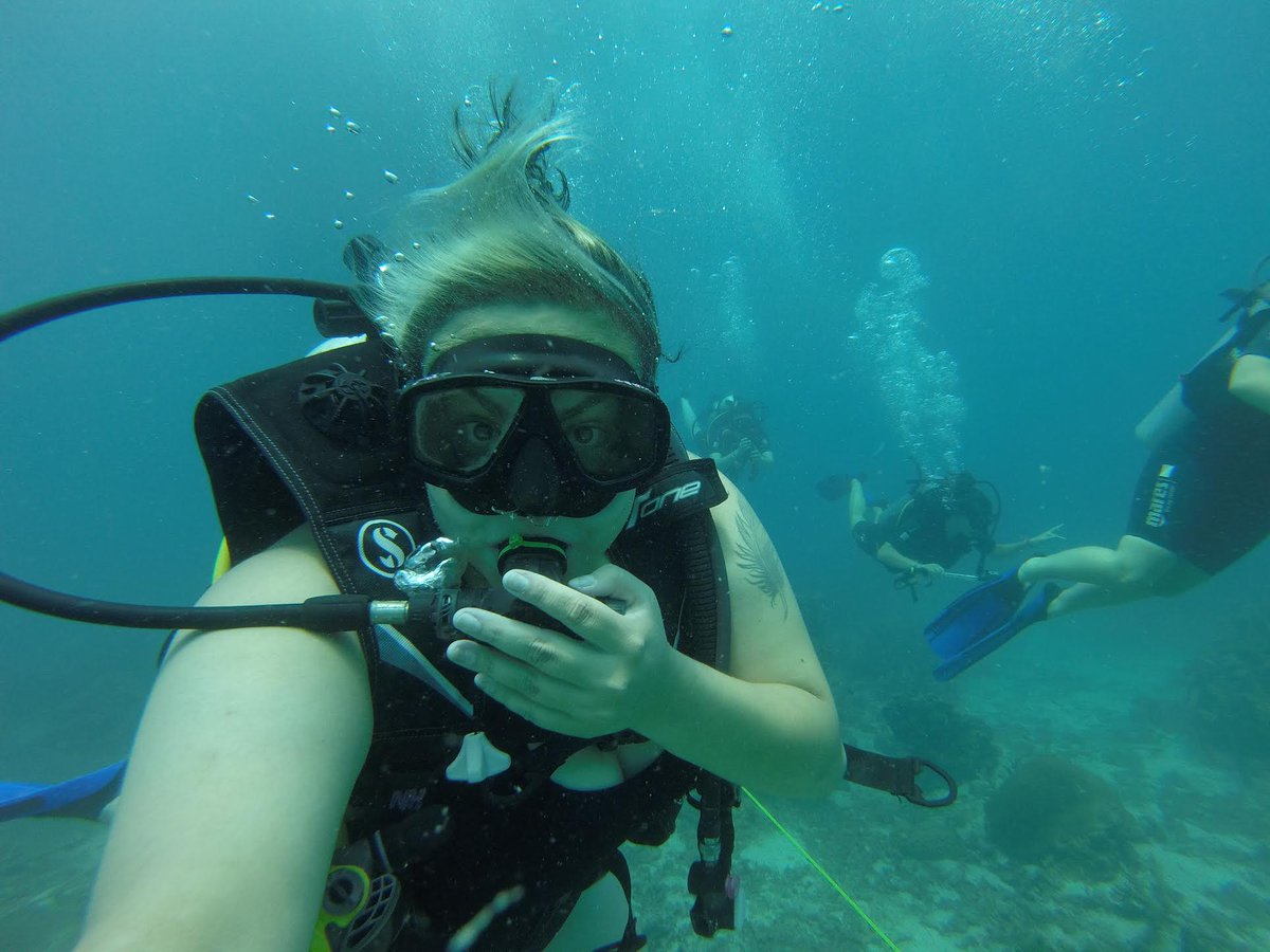 IUSBCLAS's tweet photo. Cassandra Reyes, an @IUSouthBend psychology student, spent three weeks in Thailand helping animals and studying conservation with @loopabroad! https://t.co/6s2ofjm5Gf