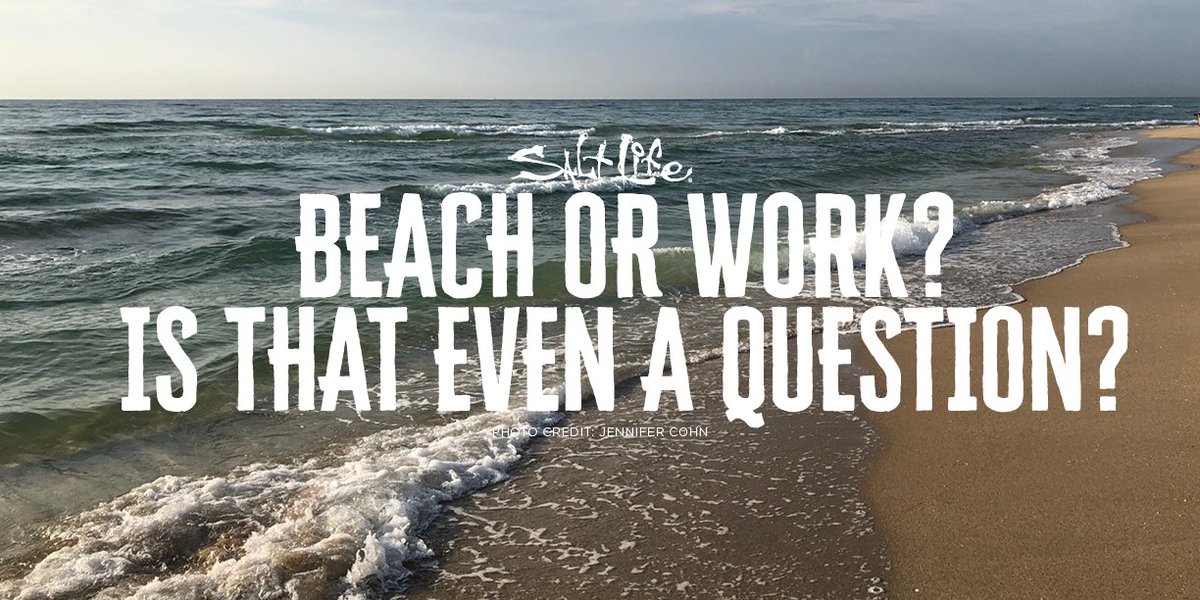 RealSaltLife's tweet photo. #Beach or Work?  Is that even a question?!
#Weekend #LiveSalty https://t.co/l1HRKyu61P