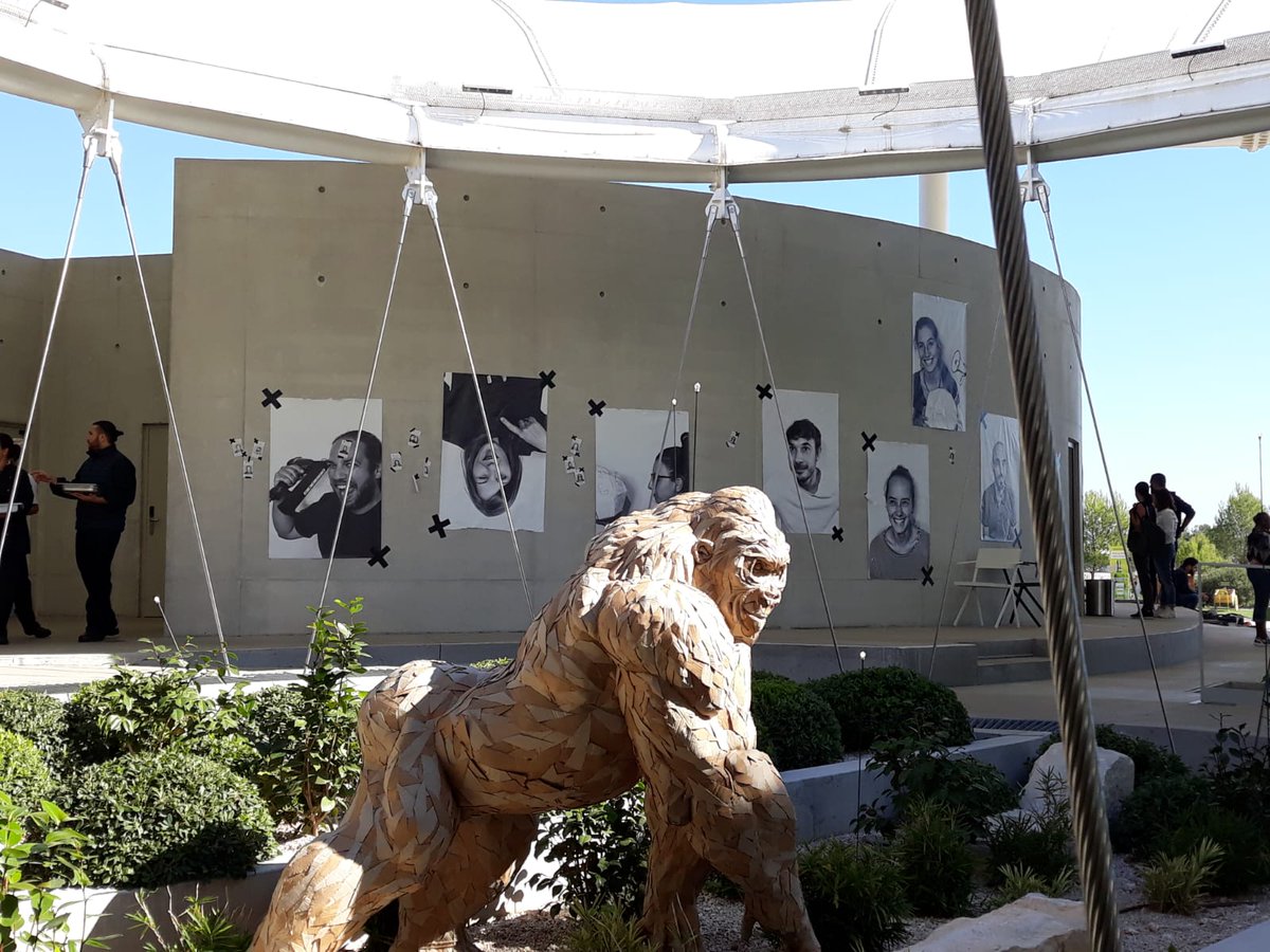 DOT camp tweet media