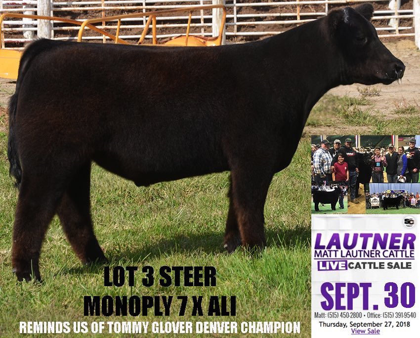 mattlautner's tweet photo. #SundaySale #NowPosted #MLC #SC
-
Click To View Sale Site:
https://t.co/aJPxrgfj5e https://t.co/sG1I6Ec55G