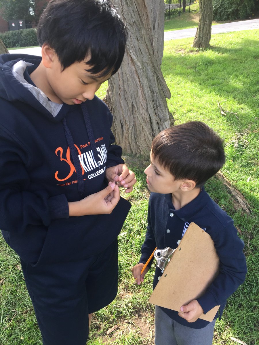 KCSMatters's tweet photo. Grade 1 students practice mindful observation in nature with their grade 7 Mindfulness buddies. #QuestionAndBeCurious #ThinkAboutYourThinking https://t.co/3TbWuL87Ia
