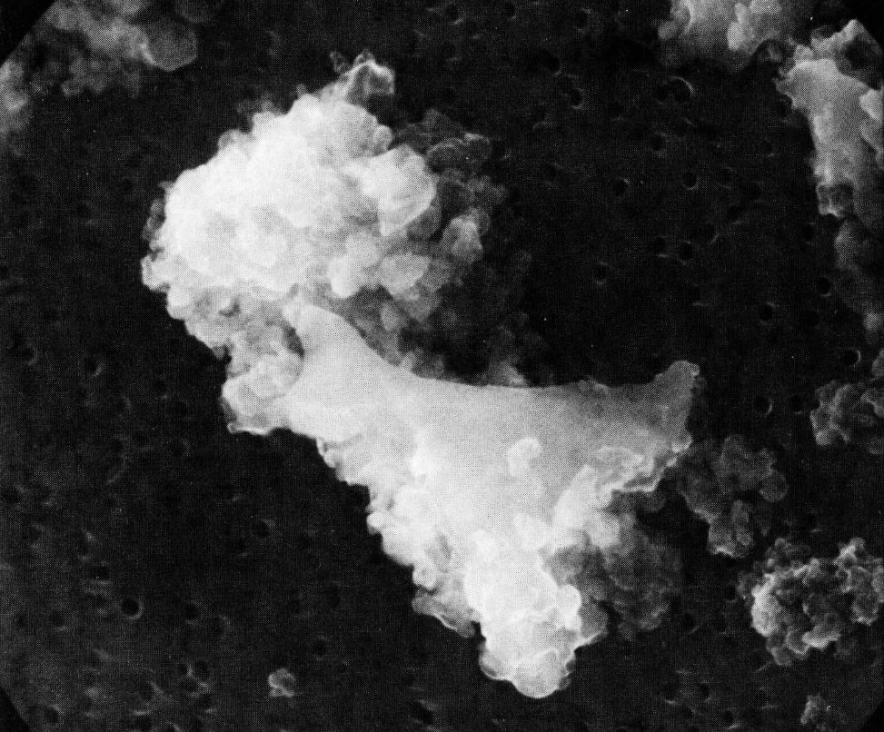 PalaisdeTokyo's tweet photo. #Bientôt CO2, poussière cosmique, fréquences radio... 
Pour sa carte blanche, #ONAIR, #TomásSaraceno révèle la force des présences qui peuplent l'air. 
-
https://t.co/8nvaTw6Xj9 https://t.co/zqQaQUX5AF