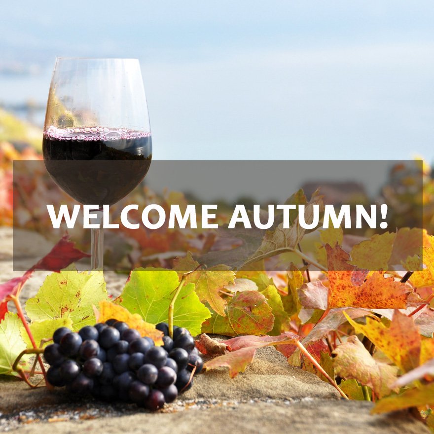 lacavestore's tweet photo. Welcome autumn!
▶ https://t.co/dpzrhwJ8XE 
#weekend  #wines #happy #winelovers https://t.co/rEoIratz5k