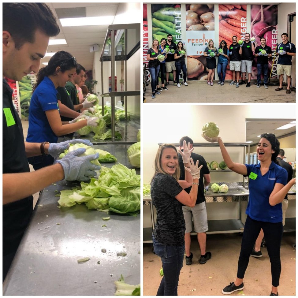 PowerDesignInc's tweet photo. Farm-fresh fun! The project finance team volunteered at the @FeedingTampaBay distribution warehouse, where they sorted and cleaned cabbages that were donated by local farmers and sent to the produce market. #PDILife #ProjectV5 https://t.co/toqVbno5tE
