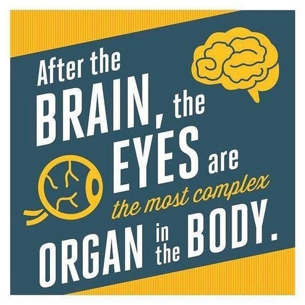 maranoeyecenter's tweet photo. Take care of your eyes!
.
.
.
#eyecare #eyehealth #healthyvision #healthtips #opthalmology #optomoetry #eyestrain #facts #visionfacts #lasik #cataracts #eyesight #glasses #njdoctors #2020vision #healthylife #eyes #happypatient #eyehealthtips #healthylivi… https://t.co/i14Ssv8JPE https://t.co/eBm7OA5UKG