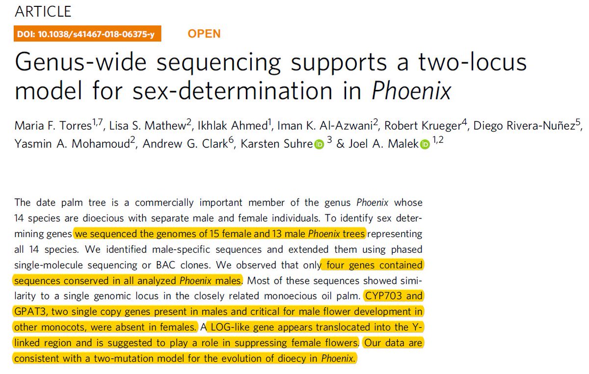 ksuhre's tweet photo. Ever wondered how sex determination works in date palm? Certainly! 😉Then read the answer in our new @NatureComms paper "Genus-wide sequencing supports a two-locus model for sex-determination in Phoenix" https://t.co/DxMtLBgwlt ... funded by @QF and @QNRF #Qatar https://t.co/XLzGISJg8R