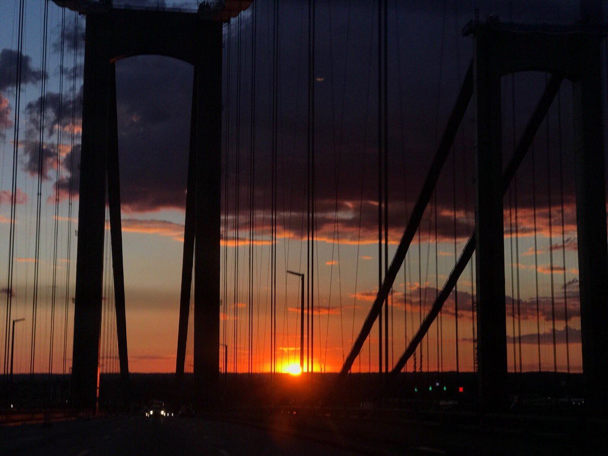 aleynamsahin's tweet image. 