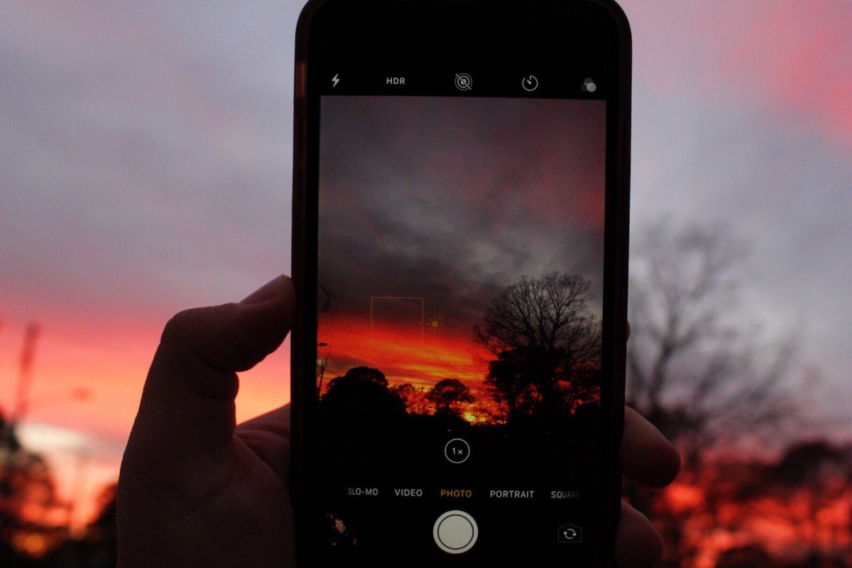 aleynamsahin's tweet image. 