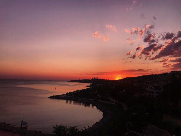 aleynamsahin's tweet image. 