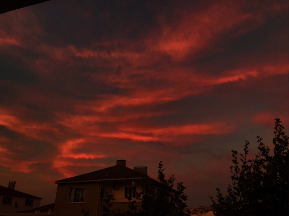 aleynamsahin's tweet image. 