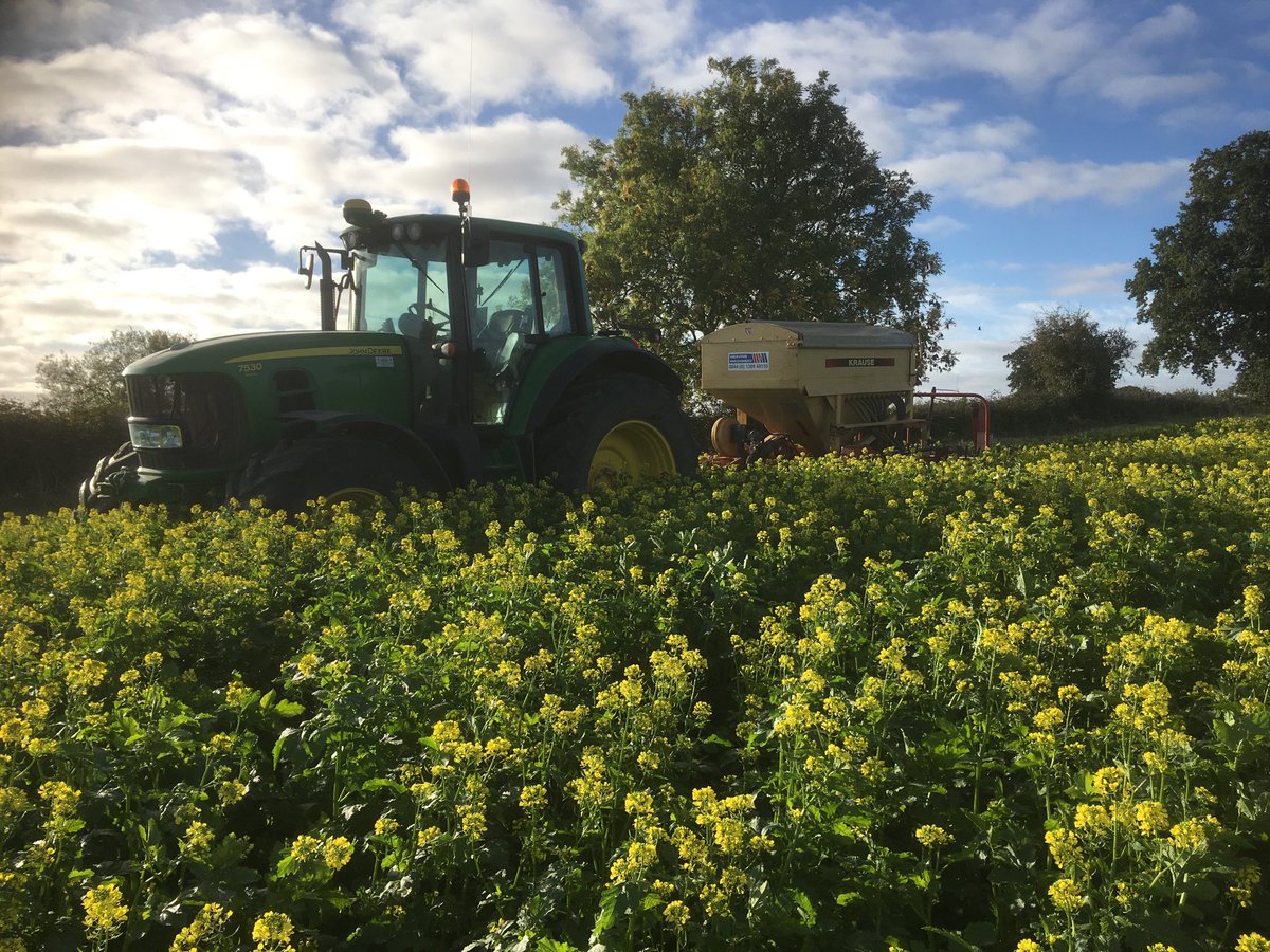 GreatworthSteve's tweet photo. Sprayed yesterday drilled this morning https://t.co/caVJzwmU9i