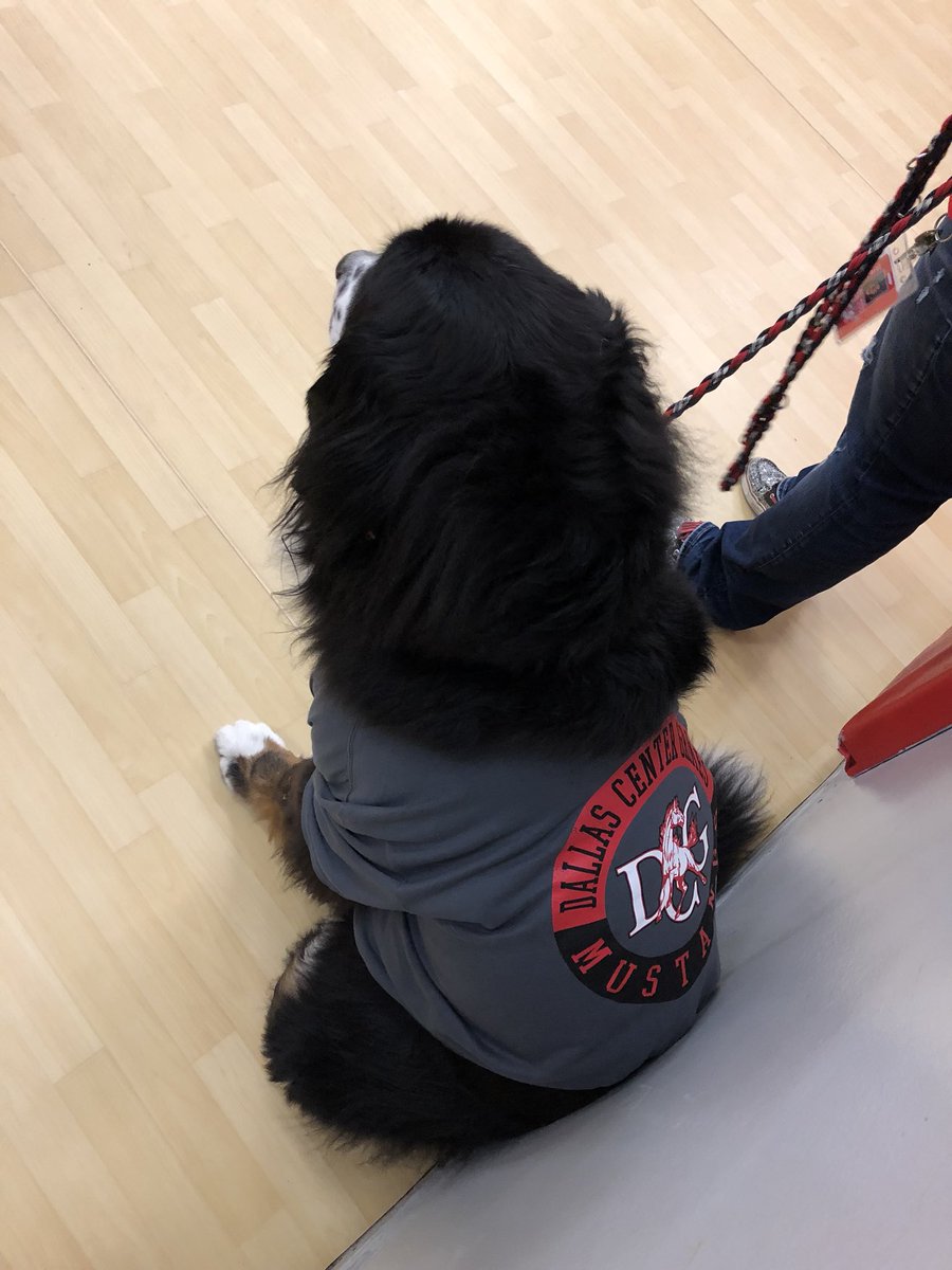 Even Jasper, our Therapy Dog, is showing his DC-G spirit at our Pep Rally today! 
#dcgexcellence