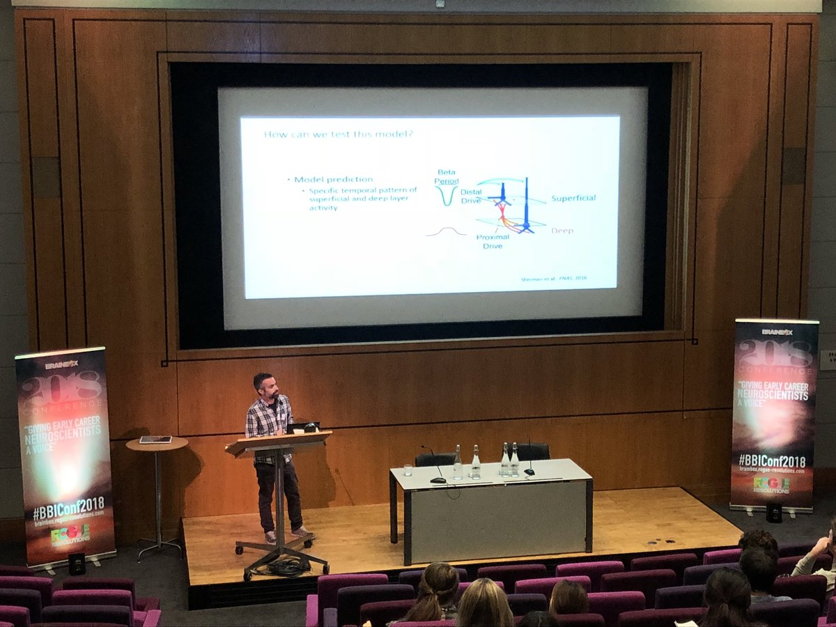 Brainbox_Init's tweet photo. Dr @jbonaiuto now, with an insight into sensorimotor beta bursts: lamina-specificity and function #BBIConf2018 https://t.co/7n4AFHNe77
