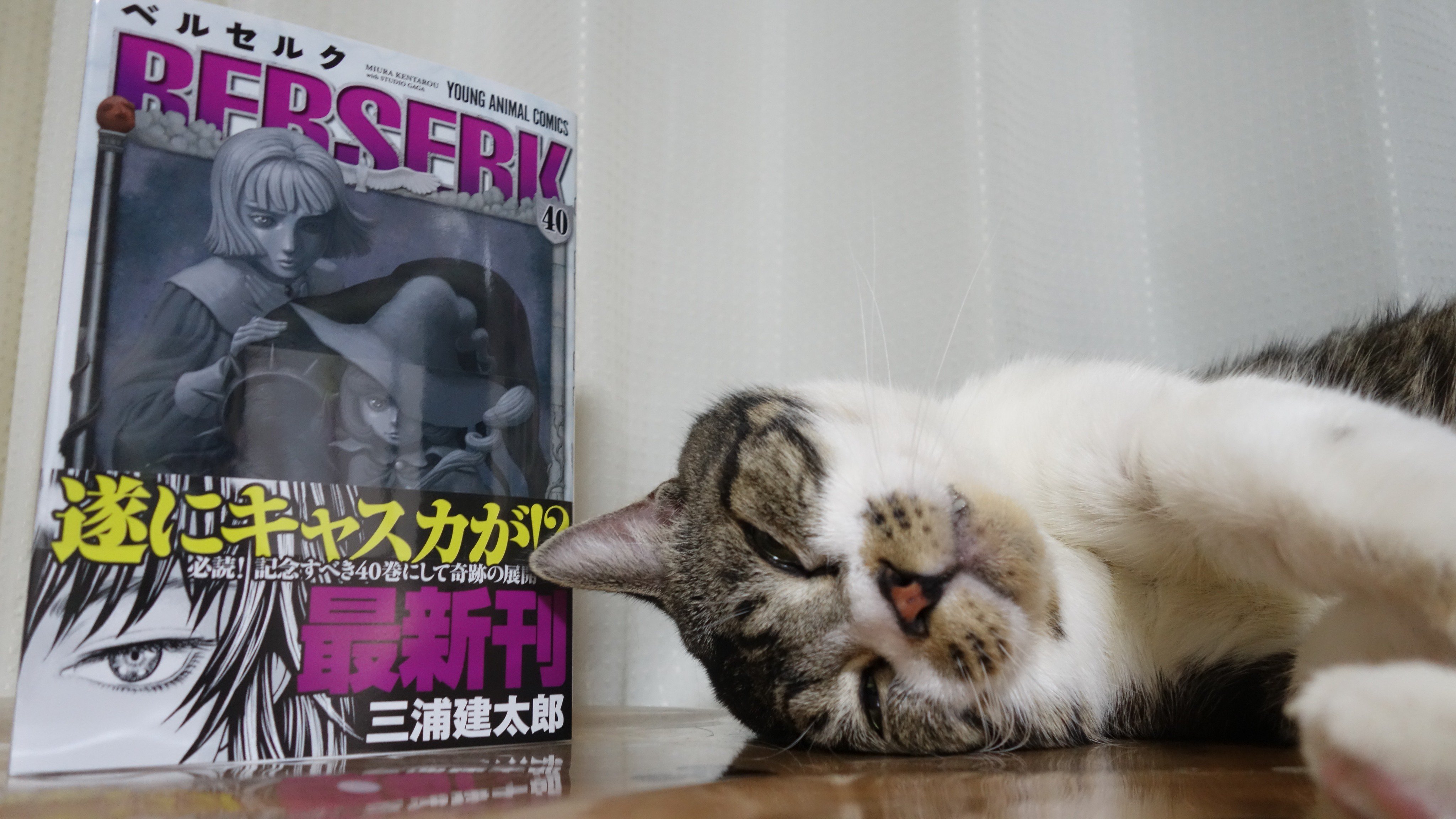 ねこのリキちゃん 次巻は３年位先だろうと思っていて 全くマークしていなかった ベルセルク40巻 が9月28日に発売しているのを 先ほど気づきダッシュでコンビニ行ってきたｗ 数年待つのが当たり前な気分になっていたから めちゃくちゃ早いなと思ったけど