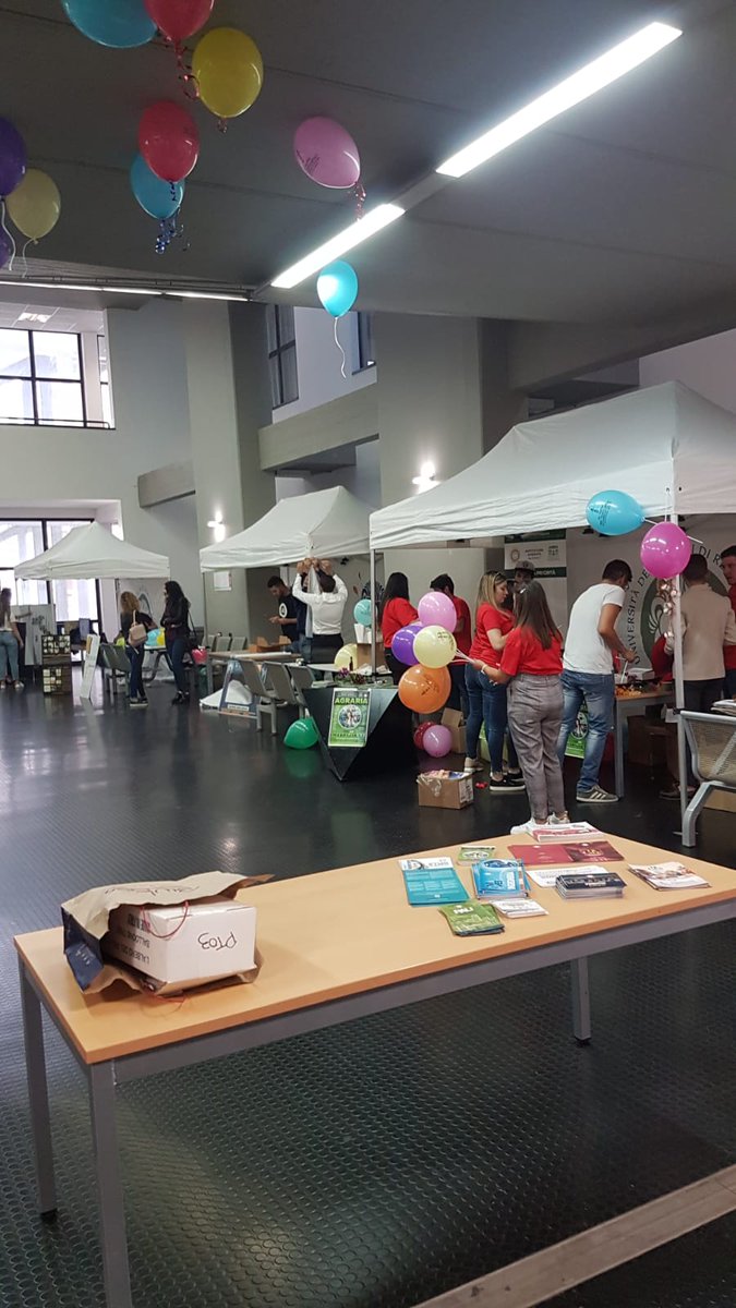 Calabria Europa tweet media