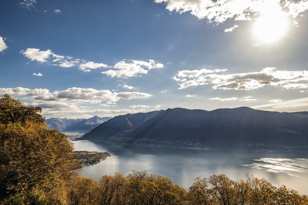 Switzerland tweet media