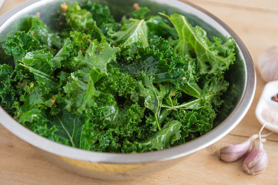 vivanutra's tweet photo. Kale contains lutein and zeaxanthin, which protect the eyes from macular degeneration. https://t.co/pVbfezi1bE