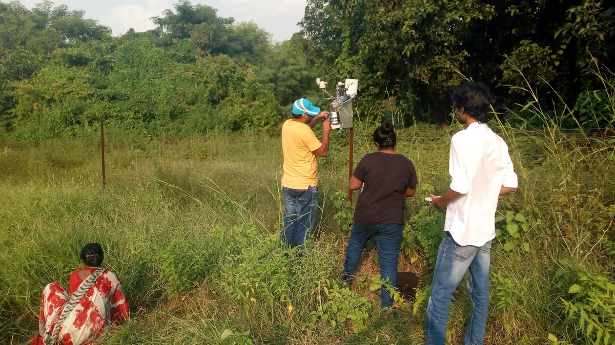 Dr Emma Tebbs tweet media