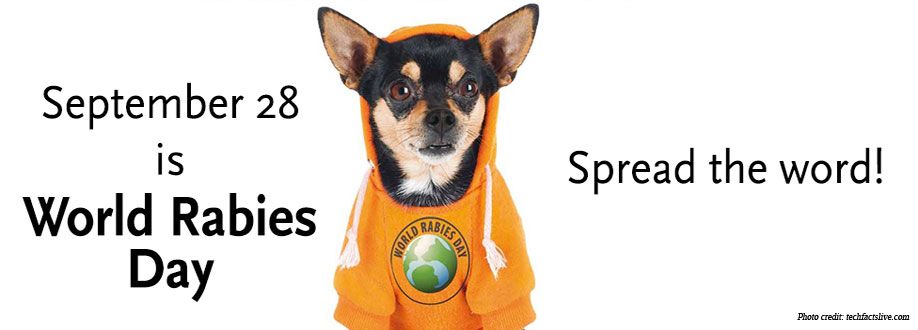 Good Neighbor Vet tweet media