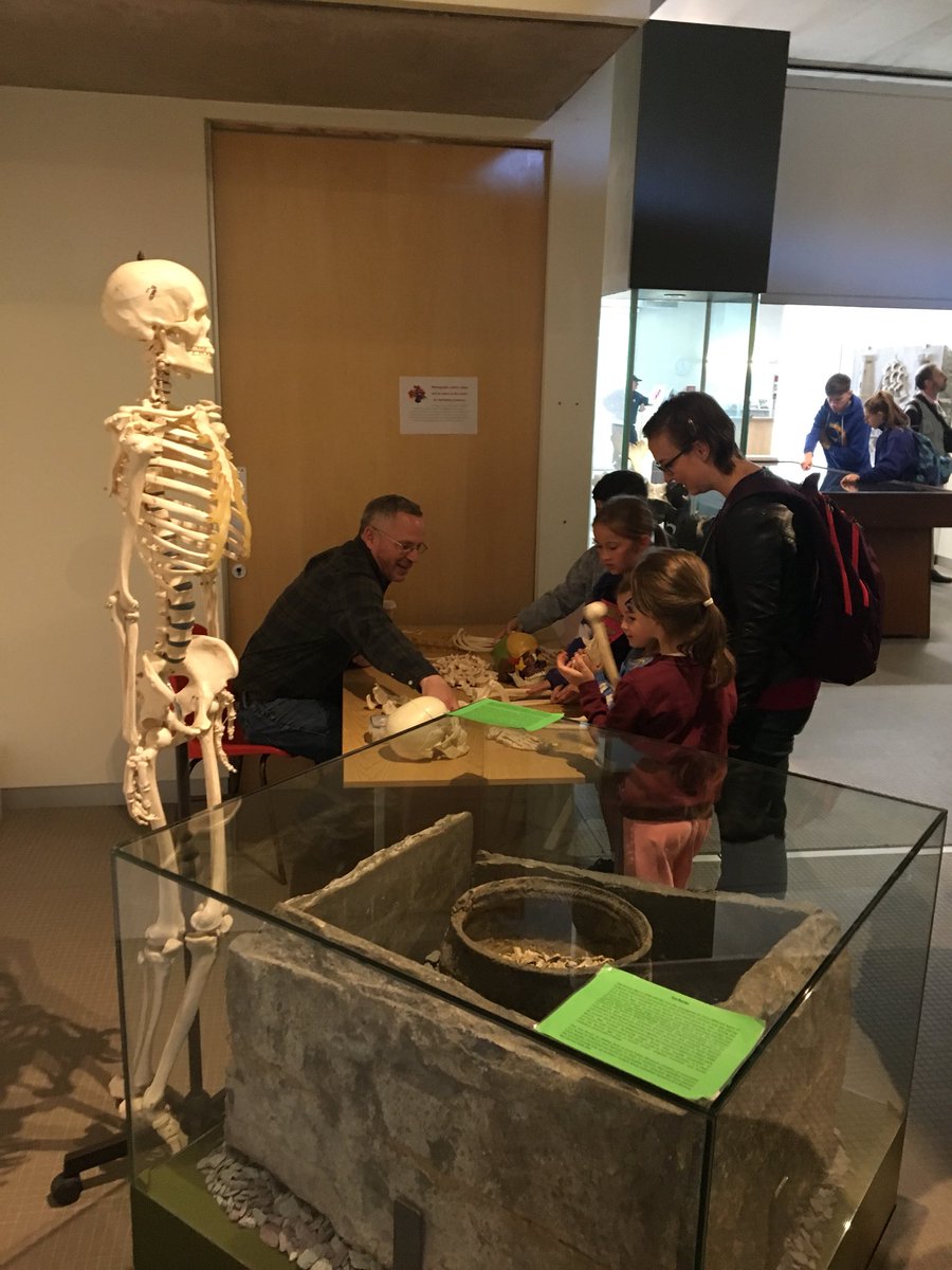 BenjaminGearey's tweet photo. And over here we've Dr Barra O'Donnabhain + an old friend! Come try your hand #Osteoarchaeology @CorkDiscovers #DigThePast #CorkDiscovers https://t.co/1YCNH0SJXx