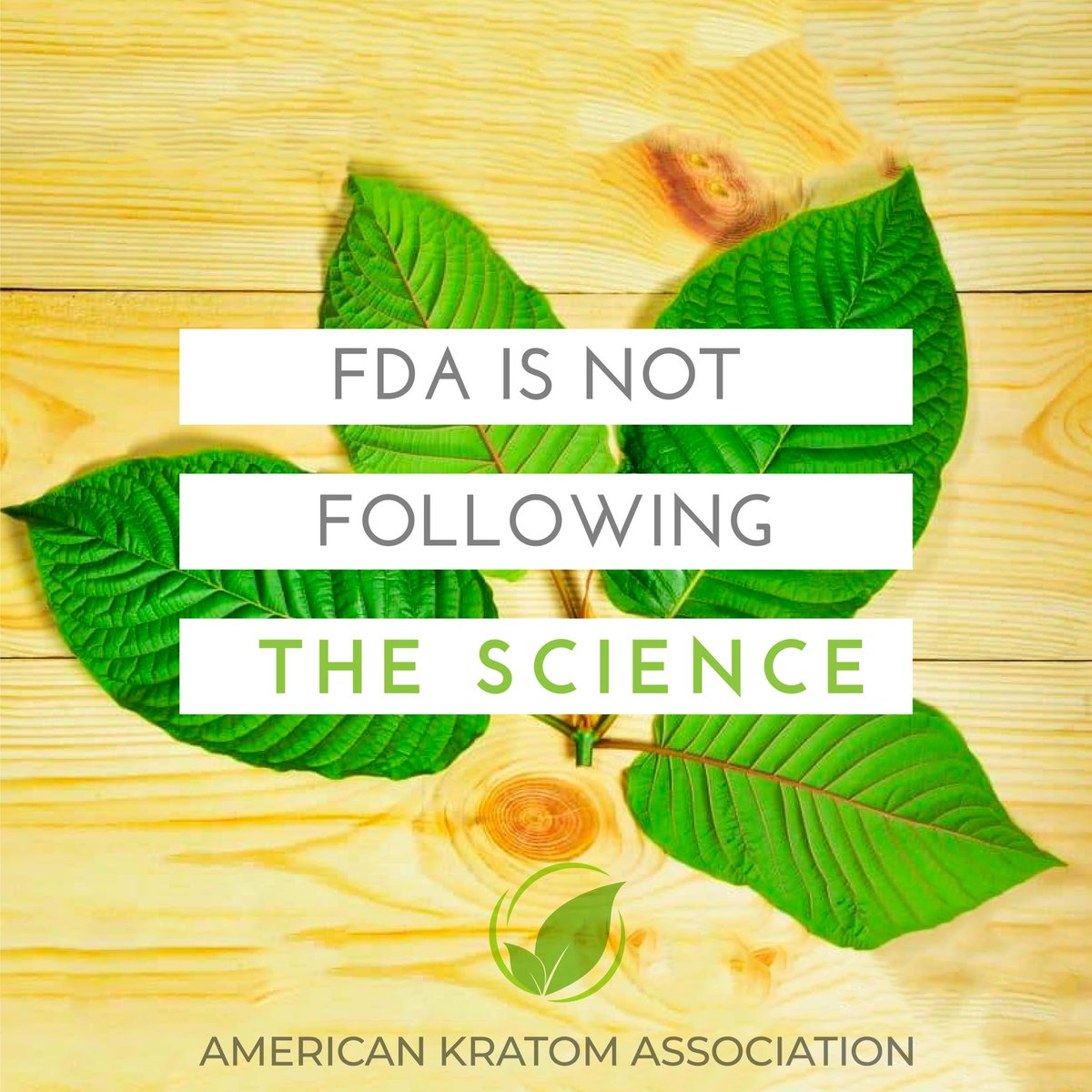 TheKratomAssn's tweet image. Share if you agree! We need to be able to trust the FDA to keep us safe, but their unwillingness to follow the science makes them lose our trust. 
#IamKratom #KratomChangesLives #Kratom #KratomWarrior