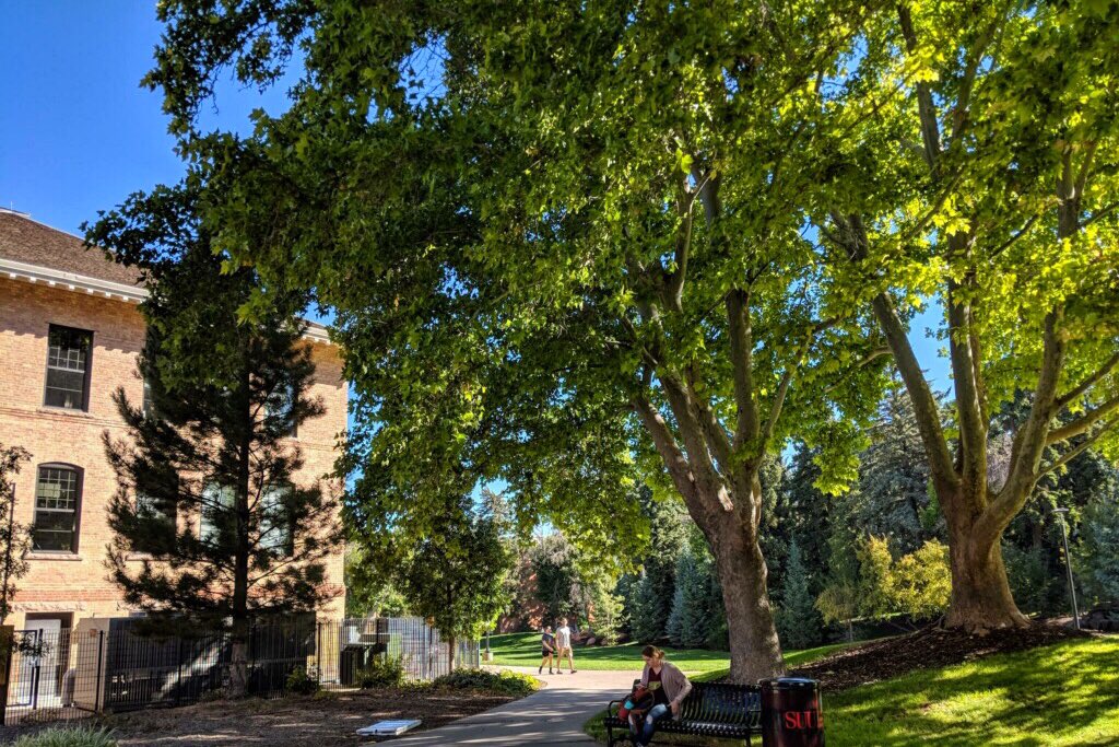 SFHSCounseling's tweet photo. On the road w/ Ms. Tas @SUUtbirds which borders 13 national parks and is home to the renowned #utahshakes Shakespeare Festival. Through the JumpStart program, students can complete all general ed requirements in just one year #SFHSDiscover https://t.co/FpfO5gcqAX