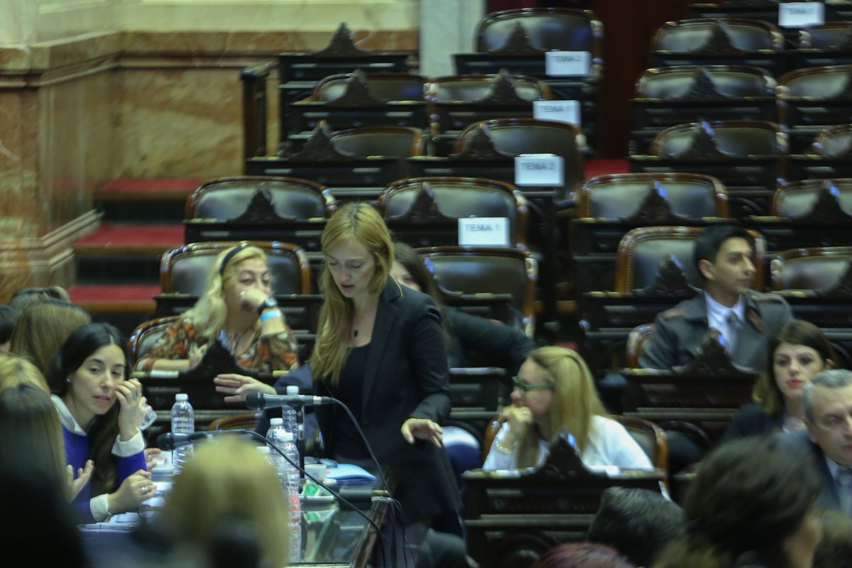 📌En la Bicameral del Defensor/a del Niño, Niña y Adolescente del Congreso nacional estamos desarrollando el examen público para cubrir el cargo de Defensor/a. 💪