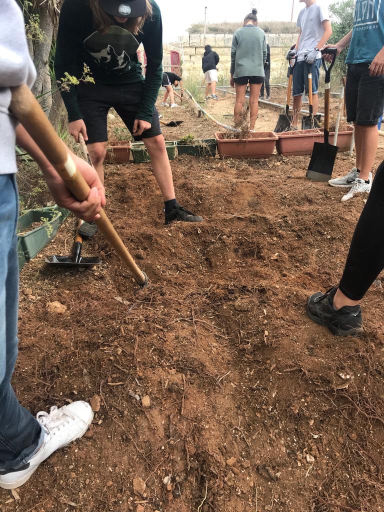 vismalta's tweet photo. VISGarden:We’re hard at work preparing the ground for year two of the VIS community garden! Planting day is next week! #VISserves #sustainability https://t.co/TzBfAyQtg4