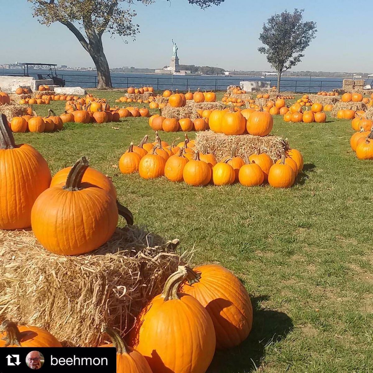 LittleEvas's tweet photo. Just a few more weeks until the return of #PumpkinPoint on @Gov_Island! Stay tuned for more info and a sneak peek at our special #Halloween menu! ๐๐๐๐๐ https://t.co/c41KbTRzm8