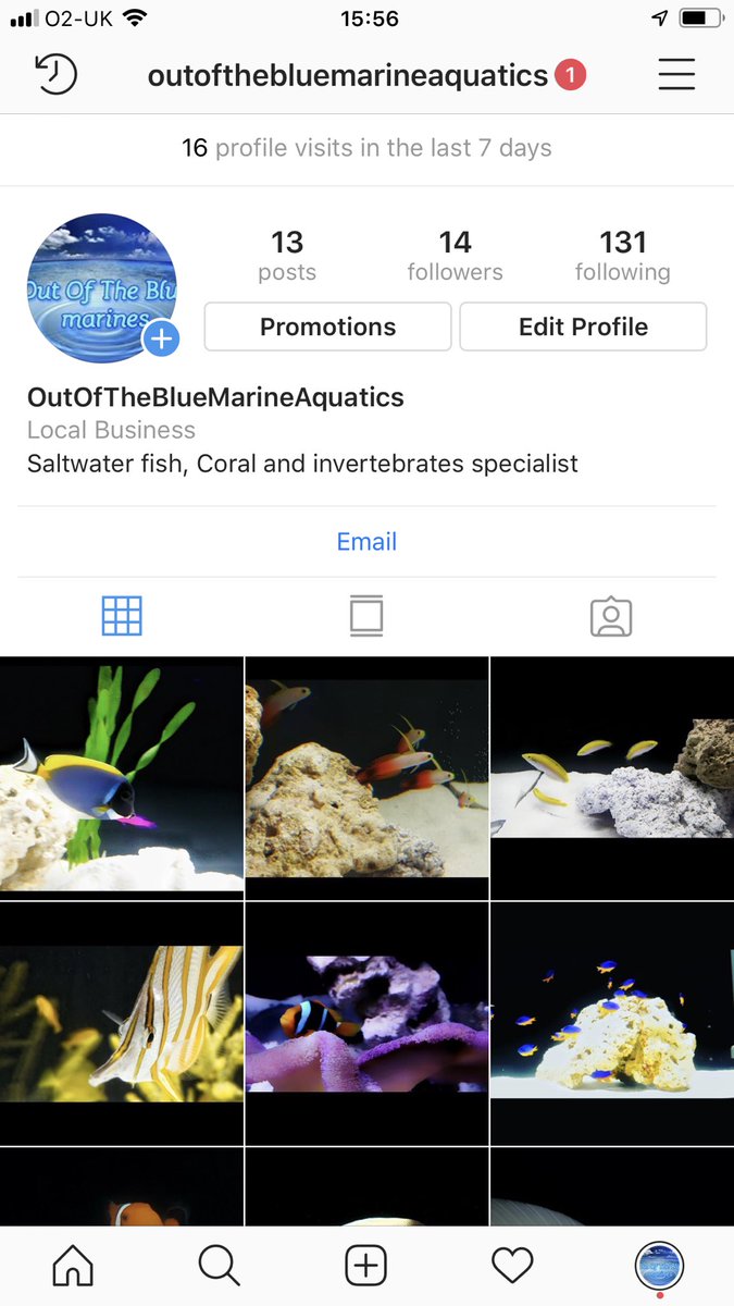 outofthebluemarineaquatics tweet media