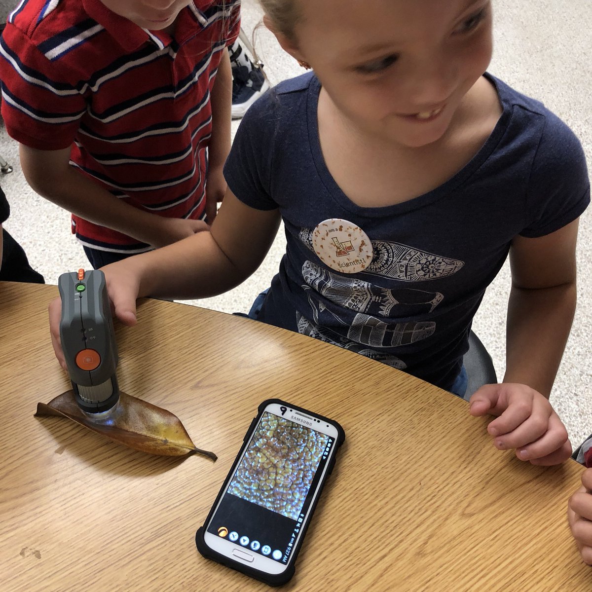 Franoinfirst's tweet photo. Today we all became scientists and explored objects found in nature using new technology! Check out the excitement in our room while using modern microscopes thanks to @smitherette @TracyPHemphill @RosemontForest #WeAreVBSchools https://t.co/T9lsi18GGt