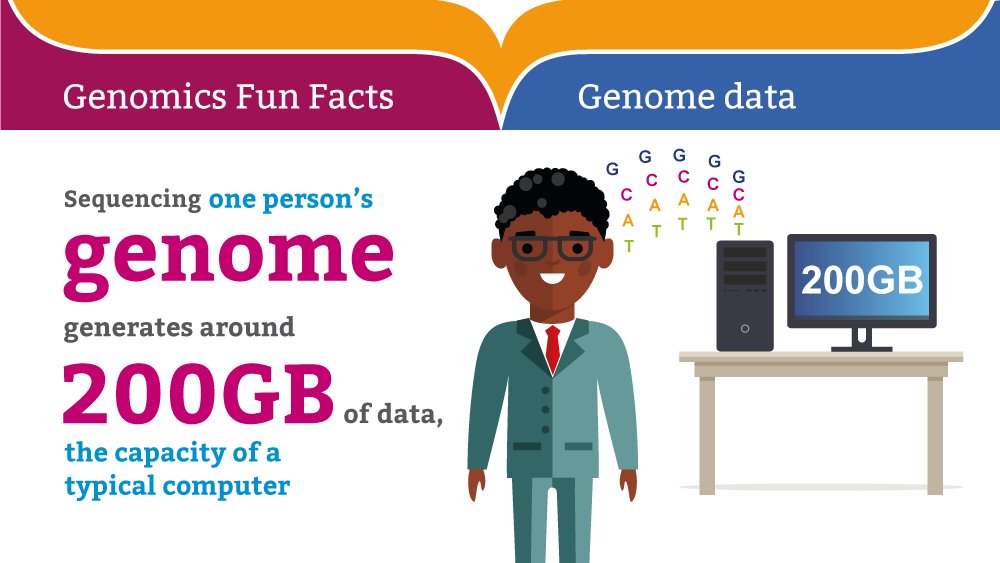 genomicsedu's tweet photo. A #FunFact for Friday! Did you know....? #genetics #genomics #biology #geneticseducation #genomicseducation https://t.co/WbkfxP0CAZ