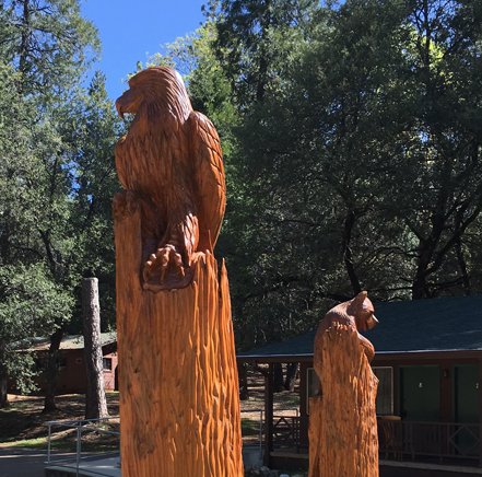 GoldCountryCR's tweet photo. Welcoming back the Rodriguez Family today. You've been visiting us for so many years now and we love having you.
#goldcountrycampground #oldfriends https://t.co/Zx3T4LAvIU